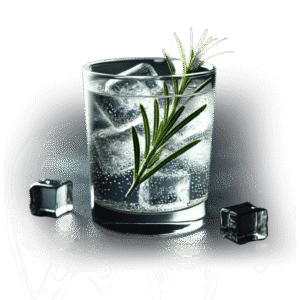 Gin Tonic