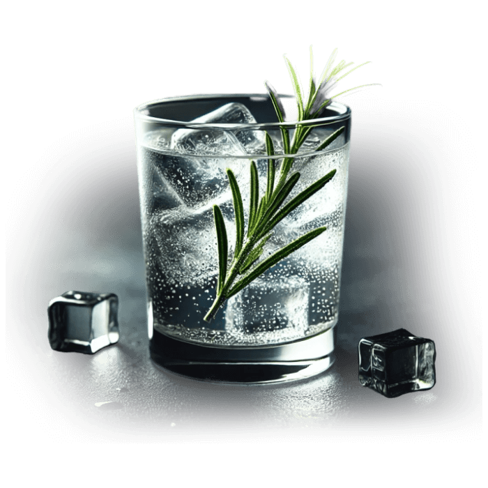 Gin Tonic