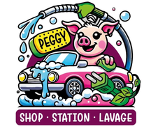 Cochon cartoon lavant voiture au lavage auto